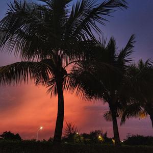 喜欢（Prod. By 二木ArM）