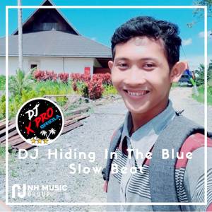 DJ Hiding In The Blue Slow Beat