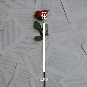 不一定长成玫瑰