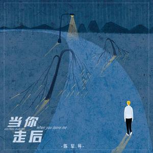 当你走后