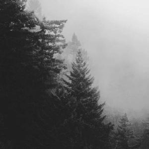 ᴹᵒⁿᵗᵃˡⁿ ᶠᵒᵍ