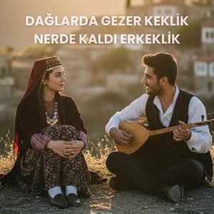 DAĞLARDA GEZER KEKLİK NERDE KALDI ERKEKLİK