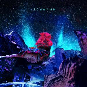 Schwamm