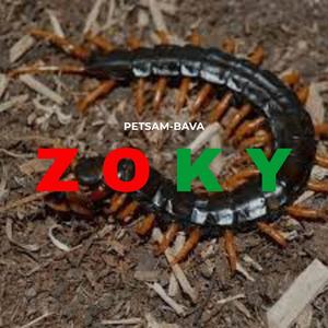 Zoky (PETSAM-BAVA)