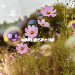 Vintage Music for Feeling