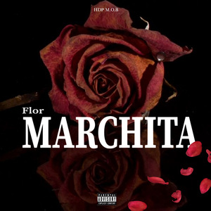 Flor Marchita