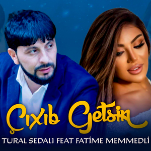 Çıxıb Getsin