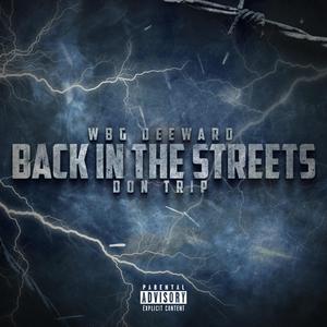 Back In The Streets (feat. Don Trip)