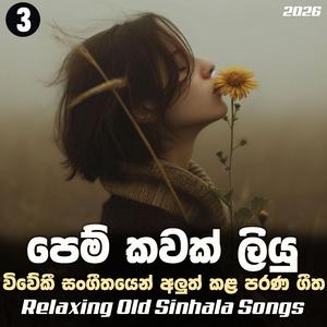 Pem Kawak Liyu Numba | පෙම් කවක් ලියු නුඹ | Relaxing Old Sinhala Songs