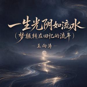 一生光阴如流水(梦辗转在回忆的流年)