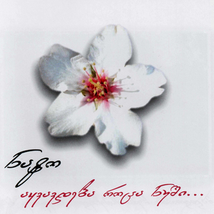 სულელი წვიმა