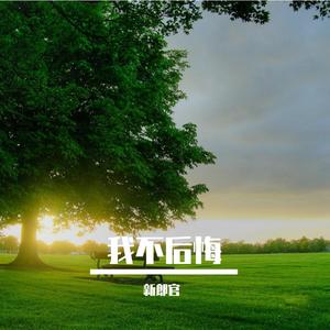 不变的情缘（翻自 郑平）