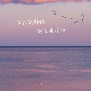 从不能释怀 到后来明白