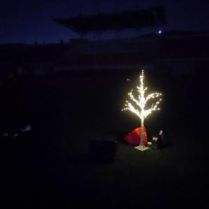 总有一天你会出现在我身边