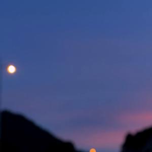 我不要一直想你