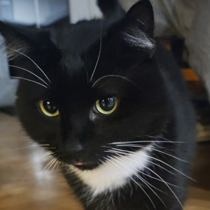 Big Things Coming (TM)