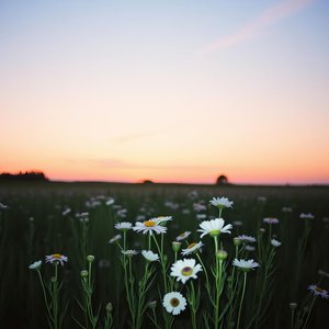 익숙해진다는 건