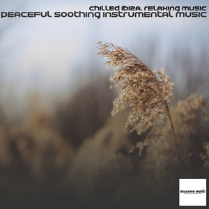 Meditazione Alla Sera