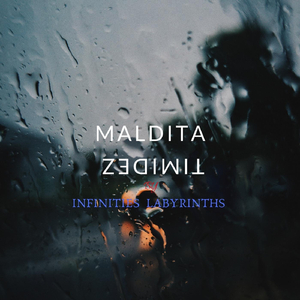 Maldita Timidez