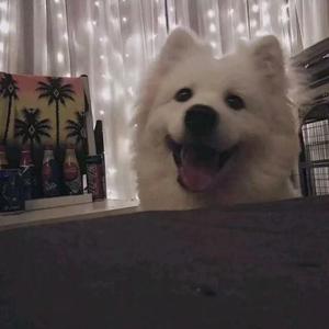 卧冰听雪（翻自 小爱的妈＆吾恩）