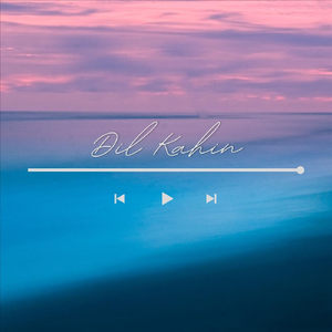 Dil Kahin
