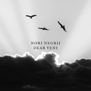 Nori negrii dear veni