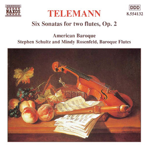 Sonates sans basse: Sonata No. 5 in B Minor, TWV 40:105: Gratioso