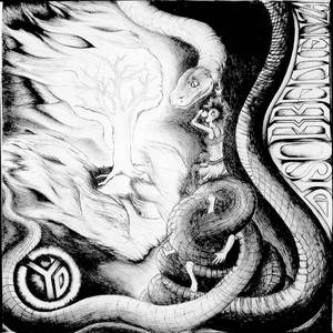 Nazis Have It Short (Live)