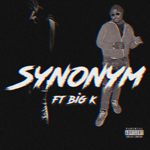 Synonym (feat. BigK)