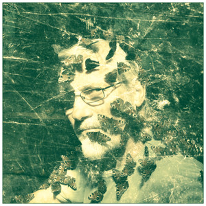 Auf eigene Faust (2008)