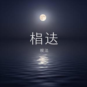 寂照明月無念無約