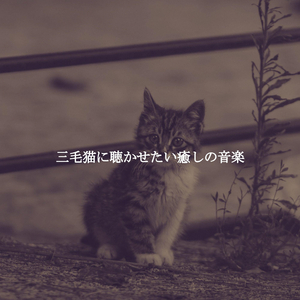 Hot Backdrops for Quiet Wednesdays