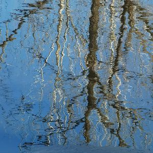 如此生活三十年