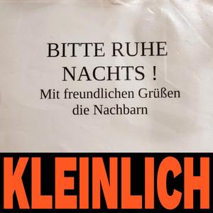 Ausziehleiter