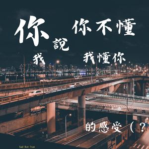 你说你不懂我说我懂你的感受