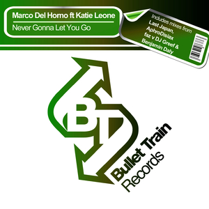 Never Gonna Let You Go (Benjamin Daly 2009 Rip Remix)