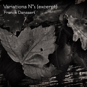 Variations n°1 (Excerpt)