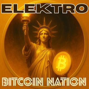 Im Schatten der Lobbyisten (Bitcoin Elektro Edition)