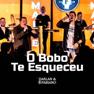 O BOBO TE ESQUECEU