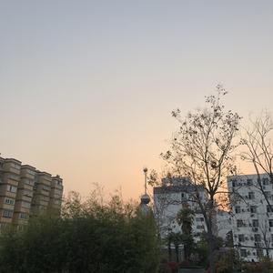 像风一样（翻自 单依纯）