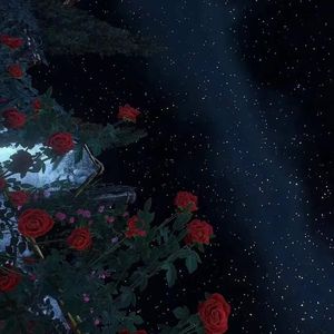 Y（Prod by BECU BEATZ)