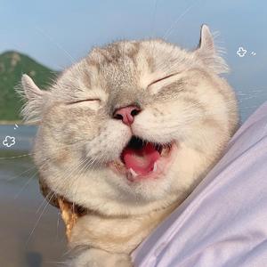 没了我依然拥有太阳