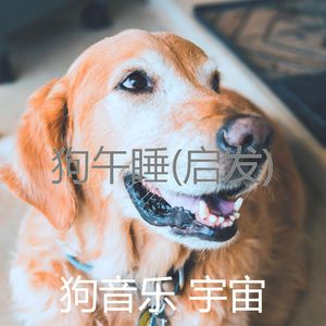 服从-睡狗