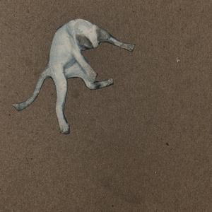 Stray
