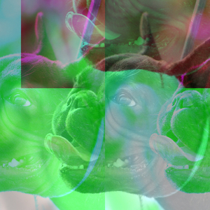 Beakers