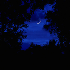 月光下潮湿的梦