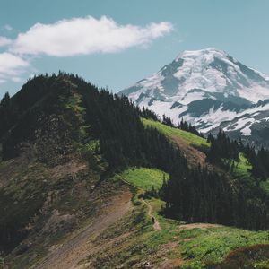 风中的蒲公英（钢琴版）