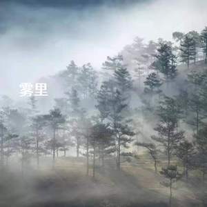 雾里