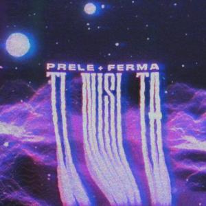 Ti nisi ta (feat. Ferma)