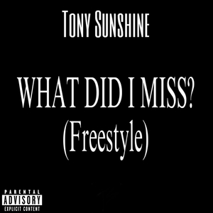 What Did I Miss? (Freestyle)